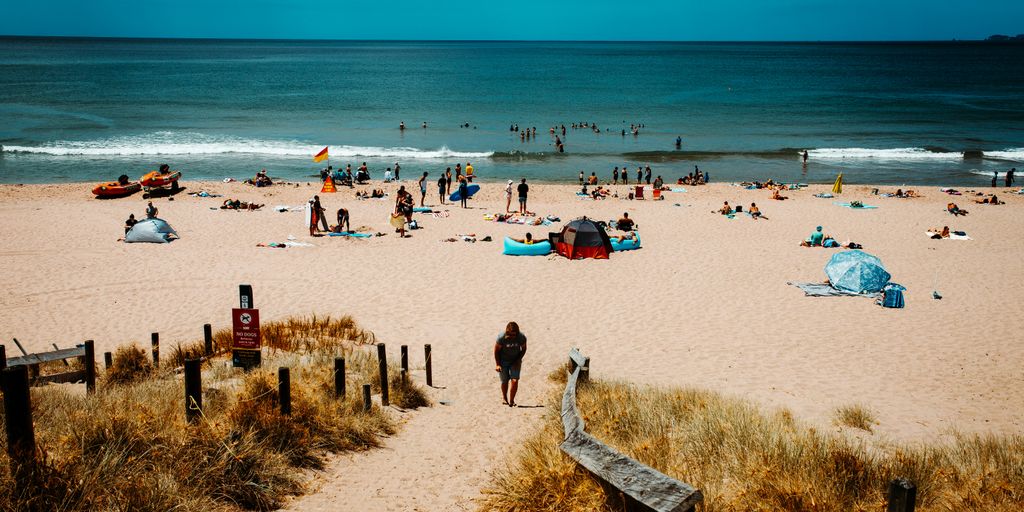 people on beach during daytime