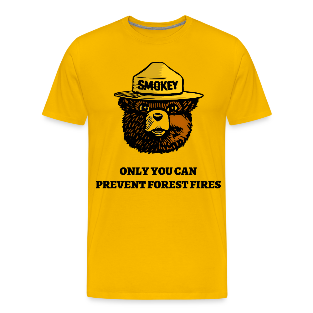 Smokey The Bear - Men's Premium T-Shirt from fluentclothing.com