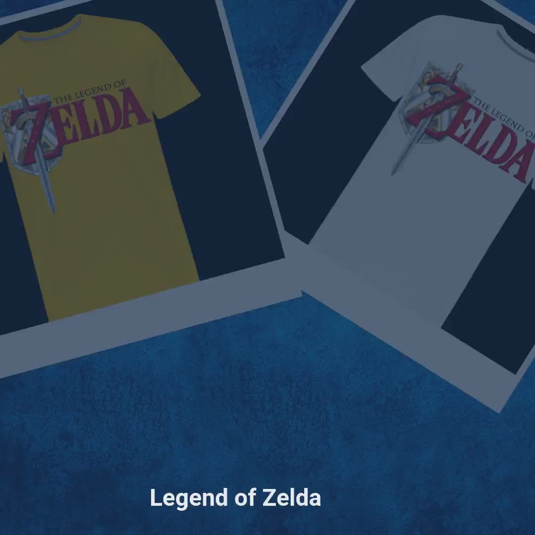 Legend of Zelda by@Vidoo